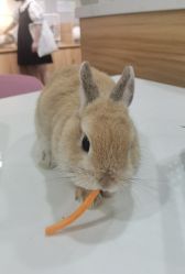 -Moni星球萌宠·小马宝莉·灵蛇·高端高阶全萌宠互动体验俱乐部(红豆国际广场店)