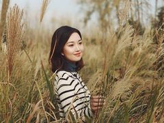 -合肥滨湖国家森林公园