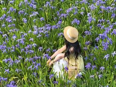 -白鹭湾湿地公园