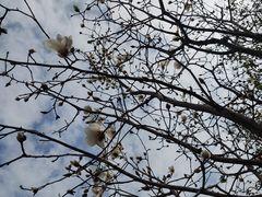 -中国移动南方基地