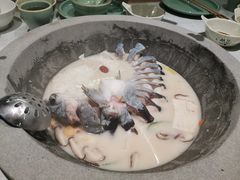 -鲜潭蒸汽石锅鱼(五道口购物中心店)