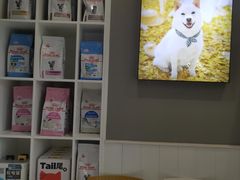 -关爱宠物医院·猫科中心·消化科(滨湖万达分院)