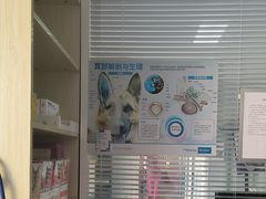 -瑞派福兴宠物医院犬猫全科·骨科·中西医结合(河东店)