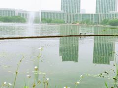 -尚贤河湿地