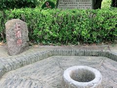 -上海佘山国家森林公园天马山园