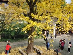-无锡惠山寺