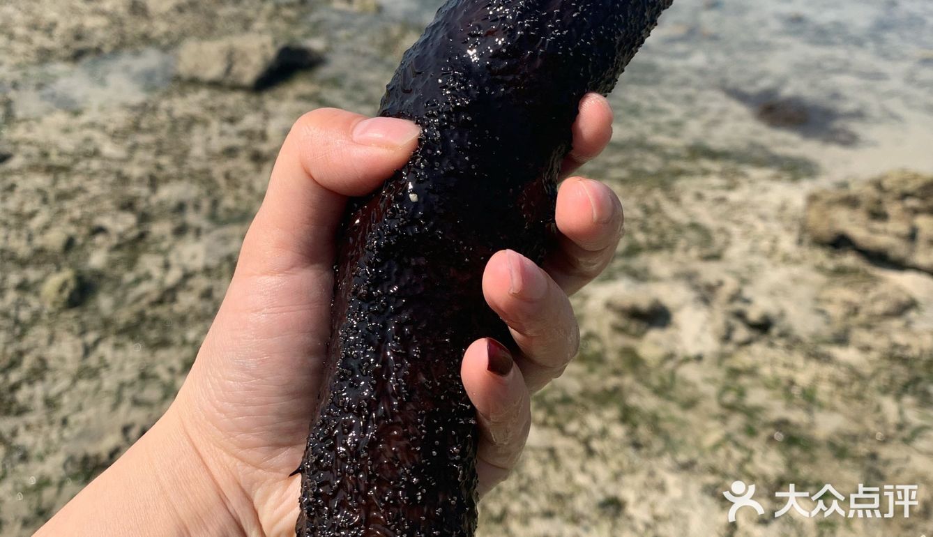 看看这是啥玩意儿