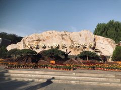 -北京西山国家森林公园