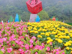 -东莞观音山旅游风景区