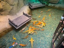 -酷嗒动物文化乐园(cutezoo西溪乐天城店)