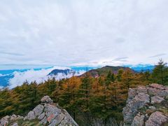 -白草畔自然风景区