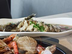 -巧克力渔家.小船海鲜胶东菜(万平口店)