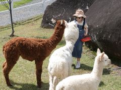 -玉苍山国家森林公园