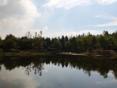 -尚贤河湿地