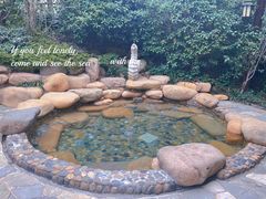 -天目湖涵田半山温泉