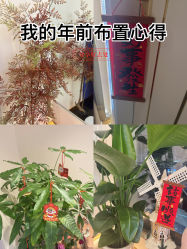 -名媛颜蕙·LPG官方旗舰店