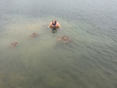 -白鹭湾湿地公园