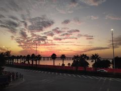 -宝安西湾红树林湿地公园