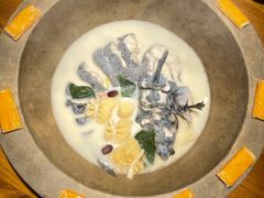 -滇小鱼·云南野生菌火锅(上杭路店)