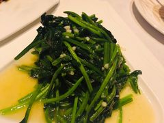 清炒菠菜-山顶顶概念四川菜(黄埔大道店)