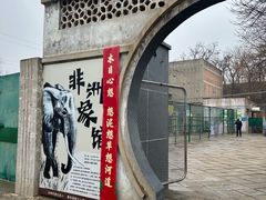 -保定市动物园