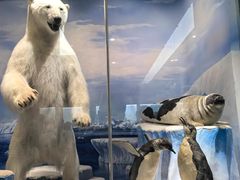 -国家自然博物馆