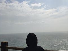 -广东惠东海龟国家级自然保护区