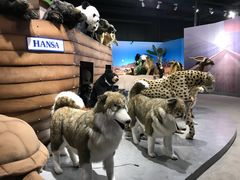 -沙沙哗啦海洋馆(华宇百花谷店)