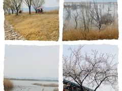 -野鸭湖国家湿地公园