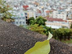 -大炮台