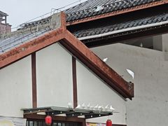 -西安汉城湖景区