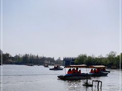 -大宁郁金香公园-停车场