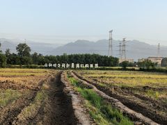 -林间山庄