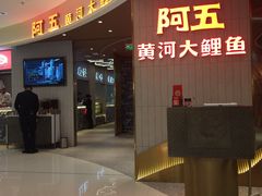 -阿五黄河大鲤鱼(海尚店)
