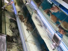 -盒马鲜生(杭州运河上街店)