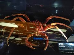 -同济大学四平路校区深海探索馆