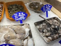 -海中洲渔社