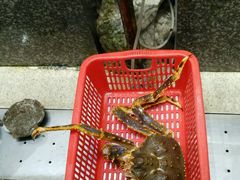 -蚝专家(北滘店)