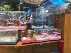 -龟与熊猫宠物公园(南坪店)