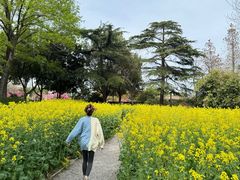 -圩墩遗址公园