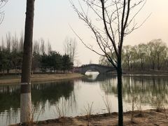 -大兴滨河森林公园