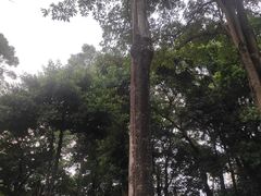 -炮台山公园