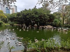 -九龙公园