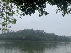 -南国桃园旅游度假区