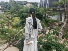 -罗红摄影艺术馆