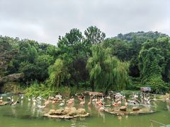 -宁波野生动物园