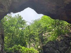 -大连天门山国家森林公园