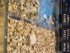 -徐记海鲜(曲江南湖店)