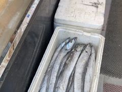 -渔中舟海鲜大排档(普陀沈家门店)