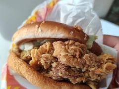 -麦当劳(朝阳北路店)